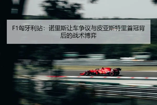 xiong-ya-li-zhan-nuo-li-si-rang-che-zheng-yi-yu-pi-ya-si-te-li-shou-guan-bei-hou-de-zhan-shu-bo-yi-2-807.jpg
