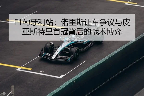 xiong-ya-li-zhan-nuo-li-si-rang-che-zheng-yi-yu-pi-ya-si-te-li-shou-guan-bei-hou-de-zhan-shu-bo-yi-3-945.jpg