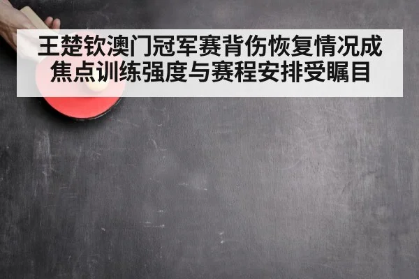 王楚钦澳门冠军赛背伤恢复情况成焦点训练强度与赛程安排受瞩目