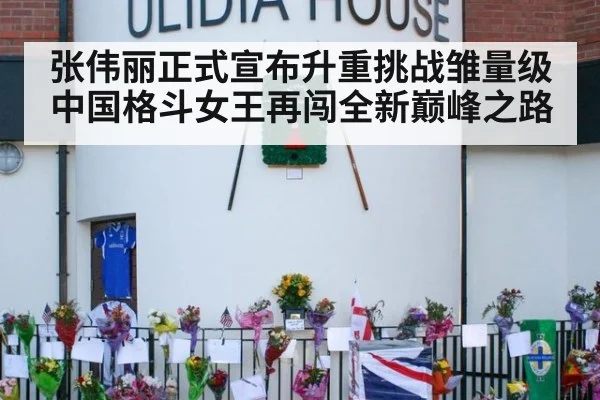 张伟丽正式宣布升重挑战雏量级 中国格斗女王再闯全新巅峰之路
